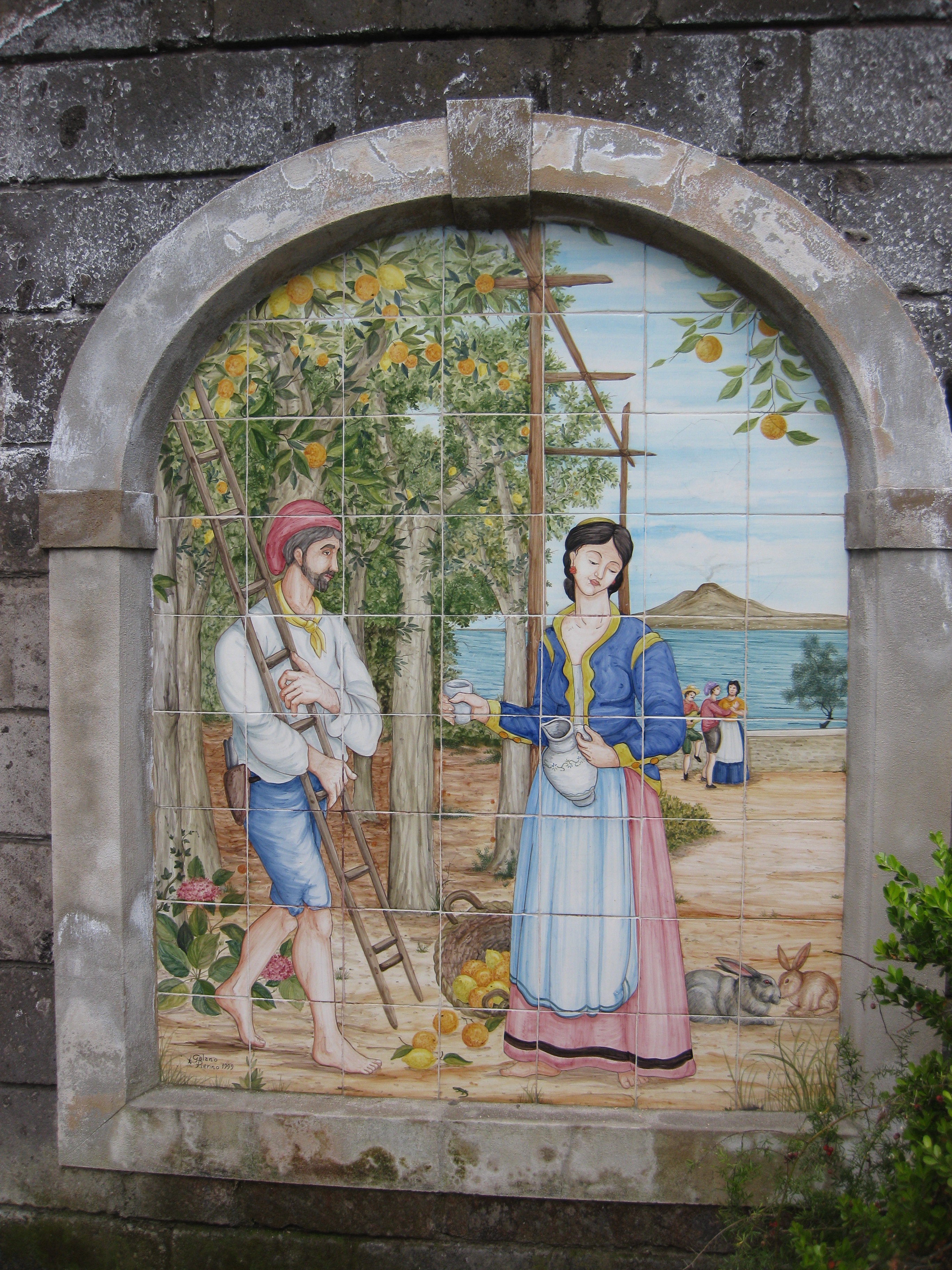 Lemon grove in Sorrento with terraced gardens.